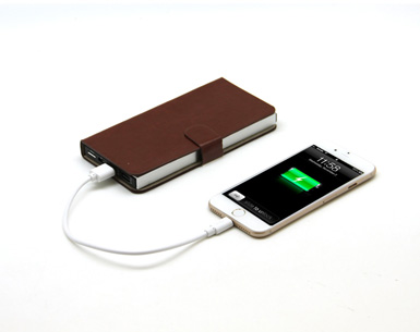 Power  Bank    10000            