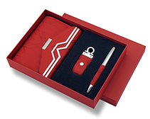 Набор в подарочной коробке: А6 портфолио, флешка, ручка